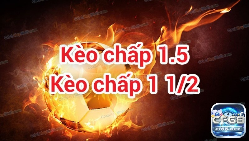 Kèo chấp 1/2 là gì? Cách đọc hiểu, chốt kèo, tính tiền chuẩn xác